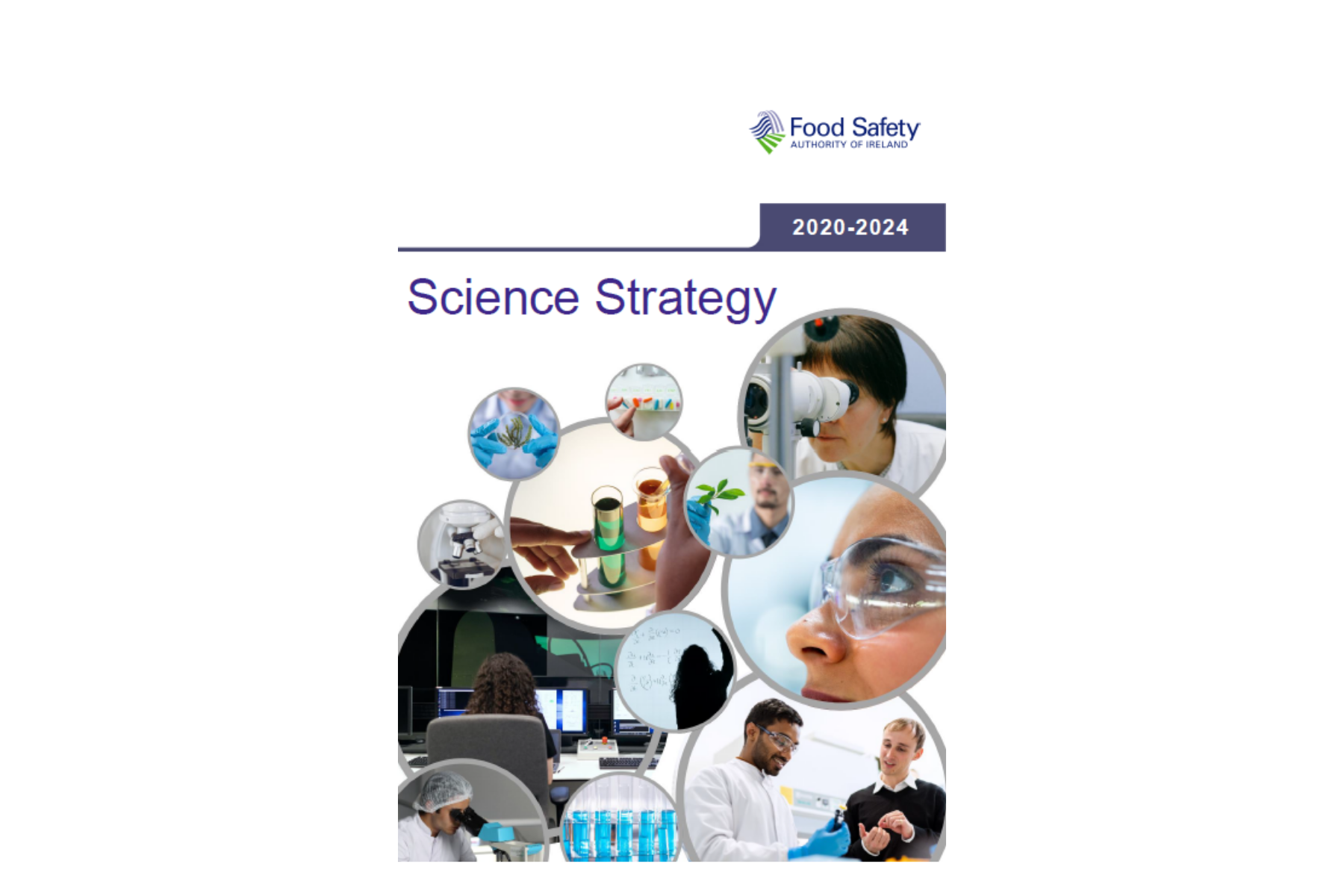 FSAI Science Strategy 2020 2024 Food Safety Authority Of Ireland   Science Stratety 2020 2024 